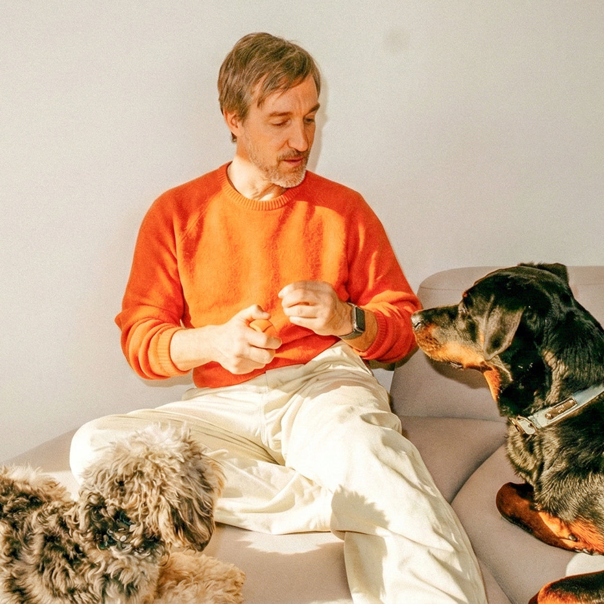 How to Potty Train Your Puppy With Positive Reinforcement