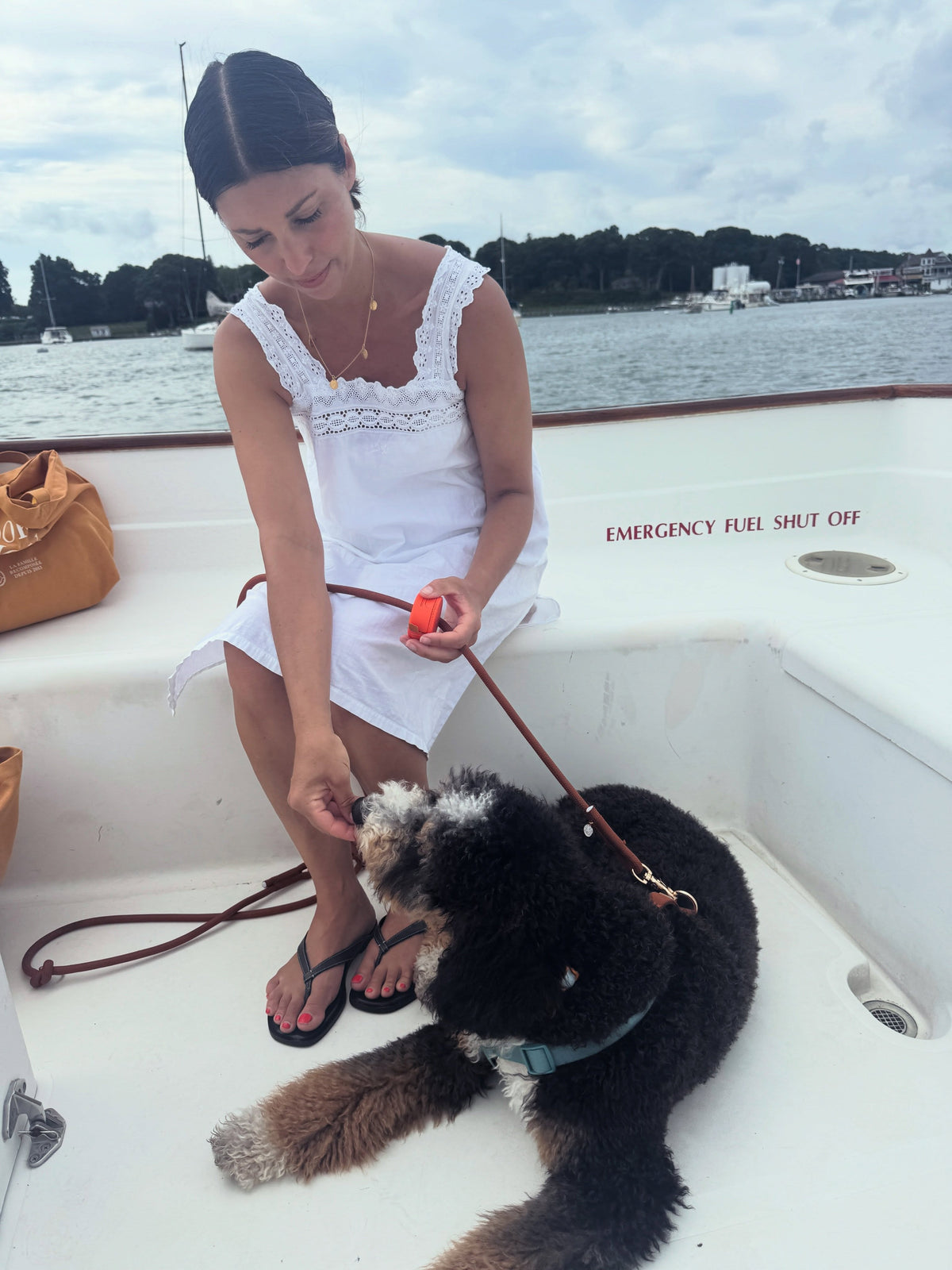 How to Teach Your Dog to Settle (and Why It’s Different From “Down”)