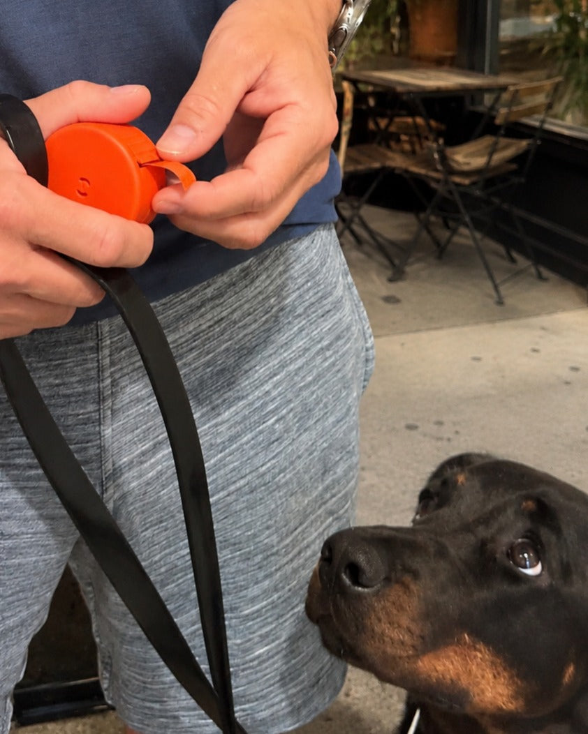 What Is a High-Value Treat — and Why Does It Matter?